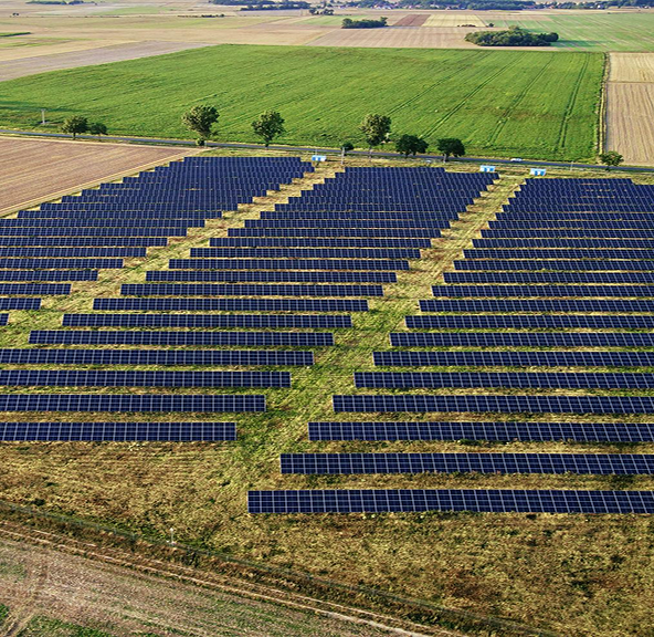 Nossa área de atuação - Agronegócio e Usina de Investimento